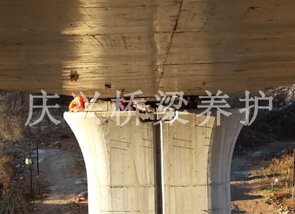 ���F����֧���{(di��o)�����Q